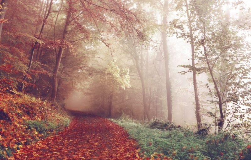 funeral services in Bradenton FL